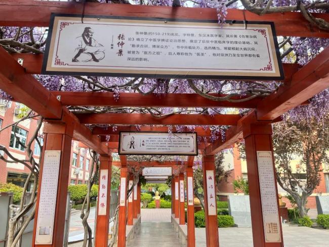 青岛城阳：打造全域覆盖的中医生活化“新模式”