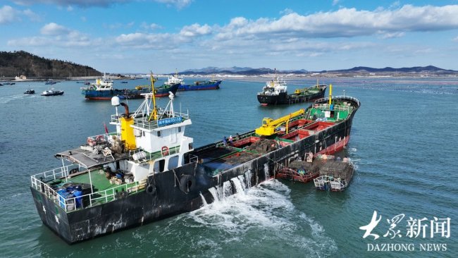 威海荣成:逾九成鲍鱼南下“越冬”