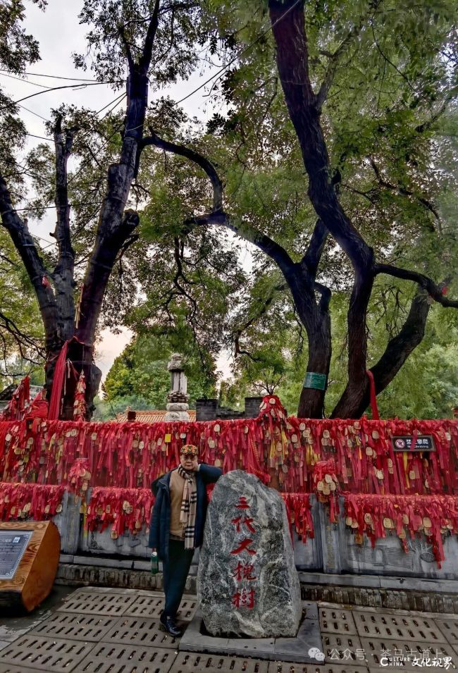 20251215145952102346.jpg 18.jpg