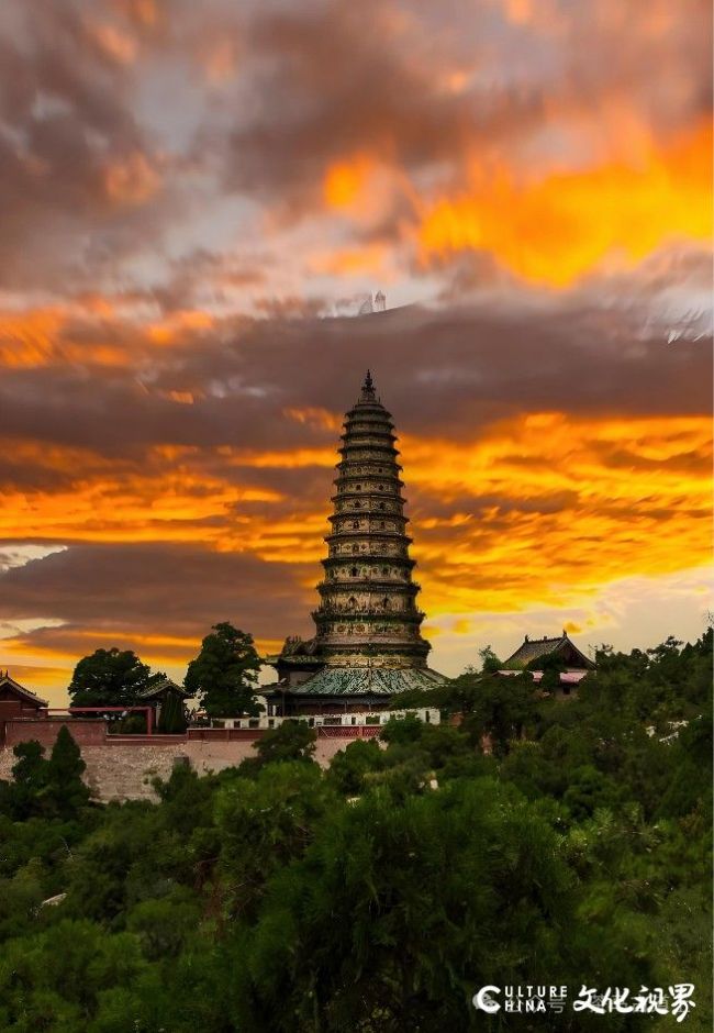 马悦英丨临汾的洪洞县是“家”，大槐树是根