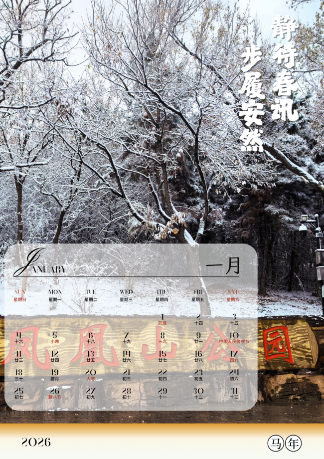 张张精美！烟台莱山区专属2026壁纸来了