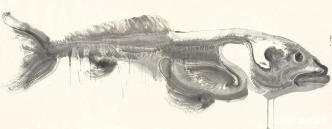 20251219101310929869.jpg 14~1.jpg