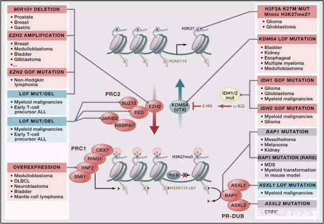 20251219095355383712.png 微信图片_2025-12-19_094752_287.png