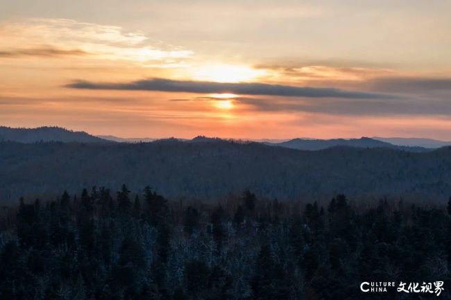 刘致福·散文随笔丨乡野精灵志之“沃儿将军”