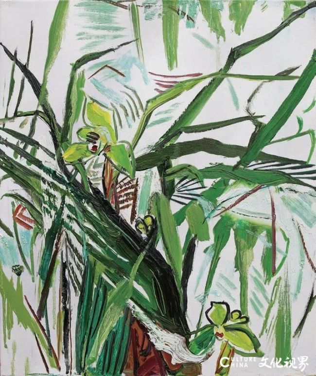 20260102115654662463.jpg 42.jpg