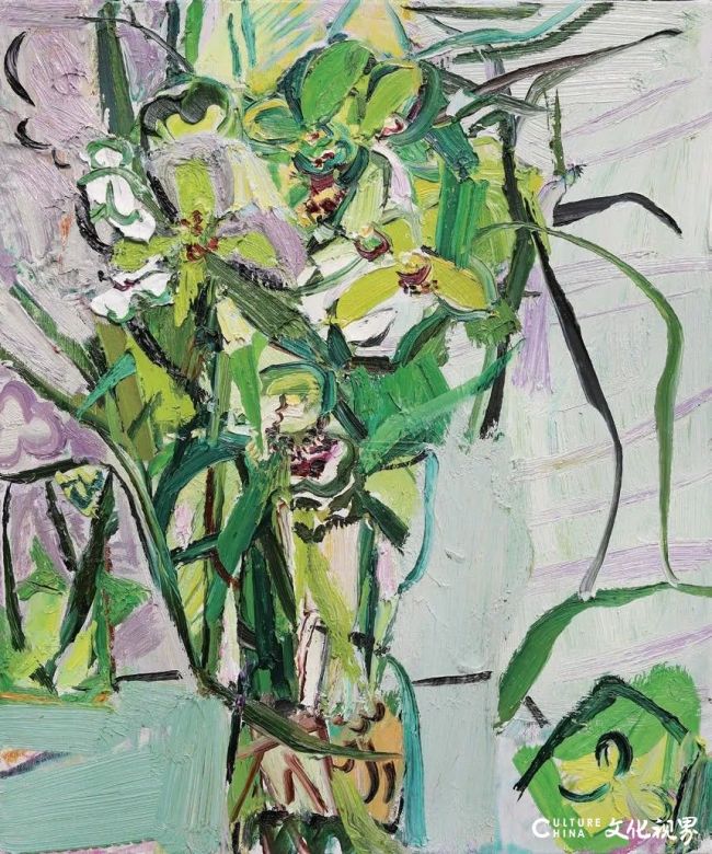 20260102115648397679.jpg 41.jpg