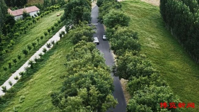 淄博:百里绿脉寻黄河