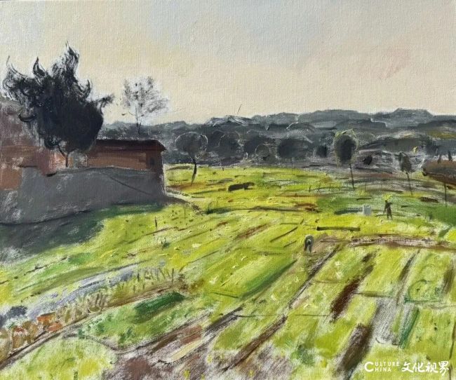 20260107100323846870.jpg 94.jpg