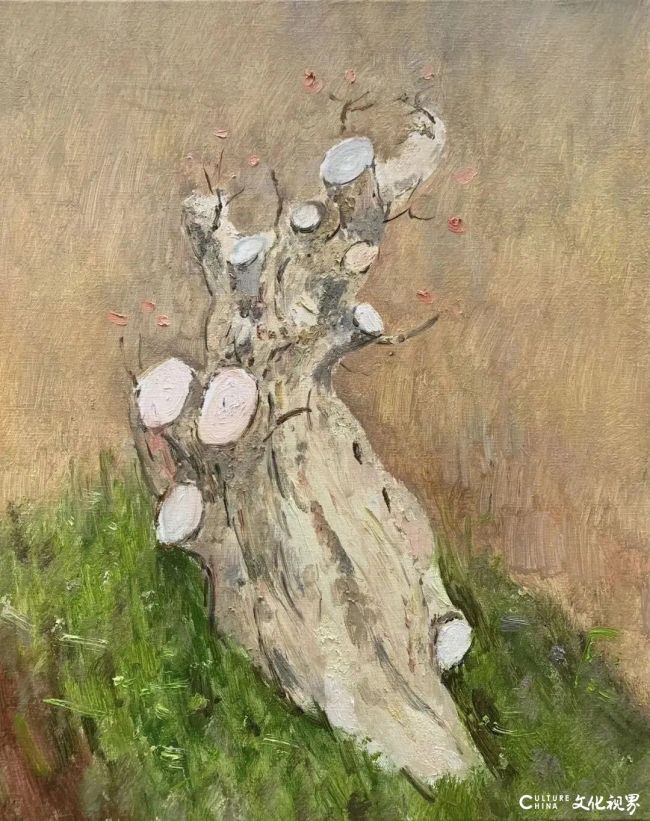 20260107095236655964.jpg 16.jpg