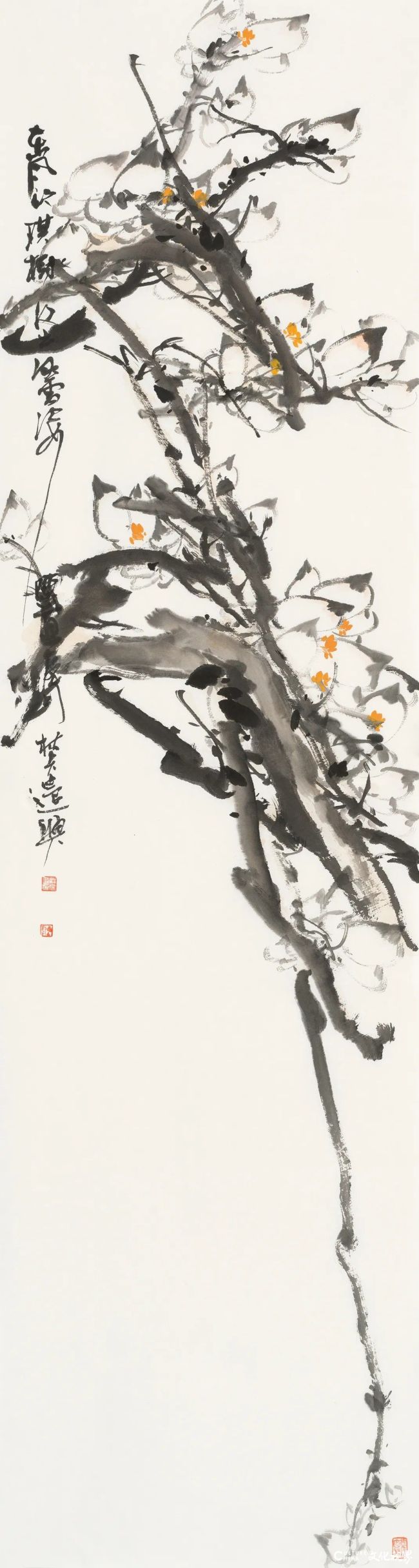 20260118110444331219.jpg 81.jpg