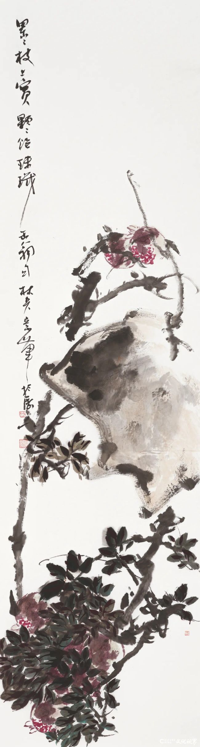 20260118110415197983.jpg 77.jpg