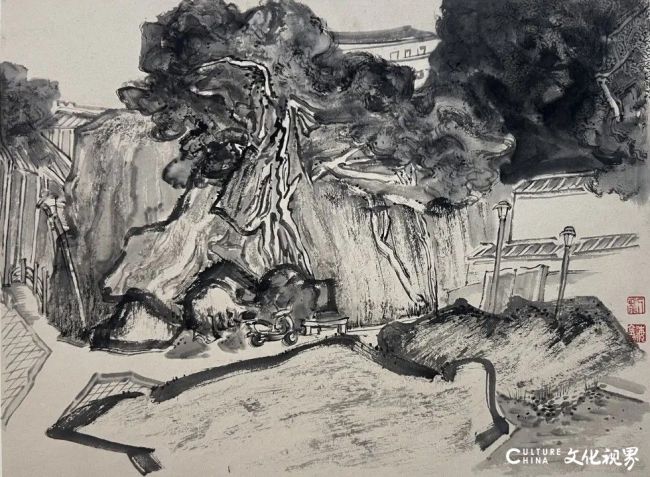 20260119101305983516.jpg 33.jpg