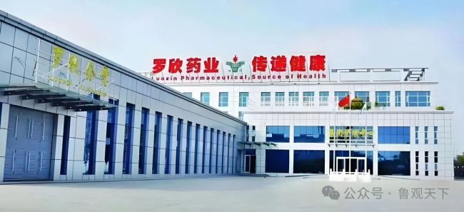 资金链告急！罗欣药业13亿短债压顶，资产折价甩卖与定增难解转型之困