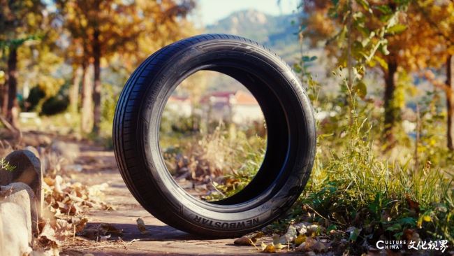 20260203211721558623.jpg 图片1.jpg