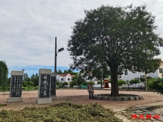 淄博市推出多条《太平年》主题新春游线路