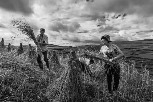 冯晓东 | 风过川西,记录大凉山最淳朴的善良与生生不息的力量