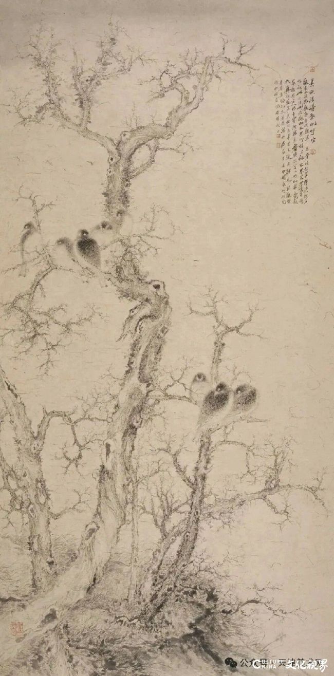 20251215094917411816.jpg 8.jpg