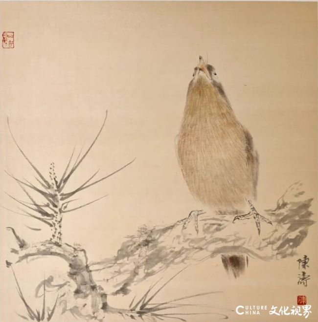 20260213104856572460.jpg 62.jpg