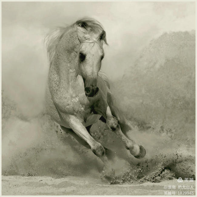 文心传薪 马啸丹青——尹沧海师生书画作品展雅启安徽八公书画院