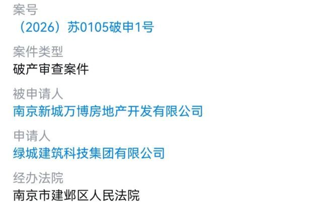 新城控股南京项目公司被申请破产审查，50亿商业综合体迎司法考验