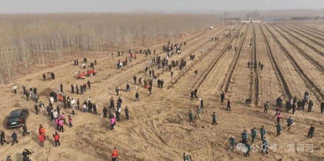 济南商河：全民植树添新绿，打造生态宜居家园