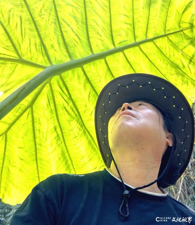 墨香入雨林,书画伴清风——李妙染的西双版纳自然书画展