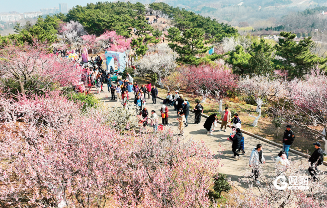 青岛:“千园之城”带来更多生态获得感