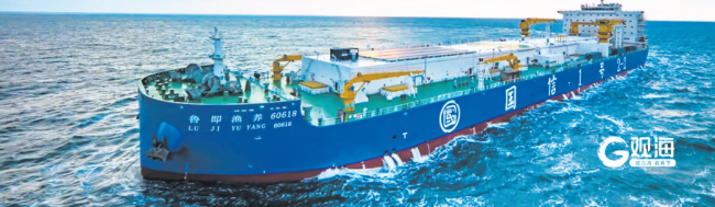 全产业链破局,青岛打造三文鱼“超级单品”