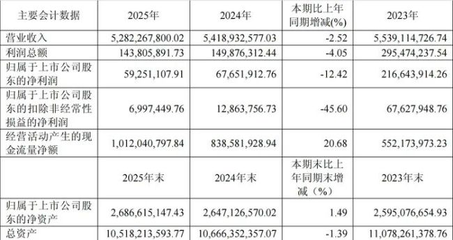 营收三年连降，百货2025年“遇冷”下滑14%，银座股份转型中压力与调整路径逐步显现