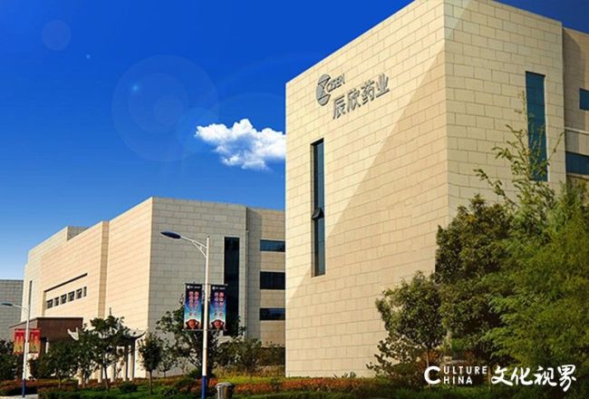 济宁辰欣药业2025年业绩双降：理财收益贡献近四成净利，核心产品线收入普遍下滑拖累业绩