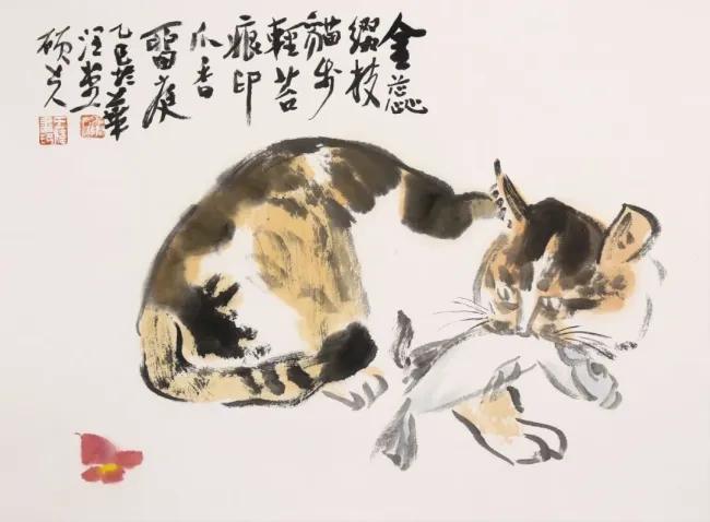 图片