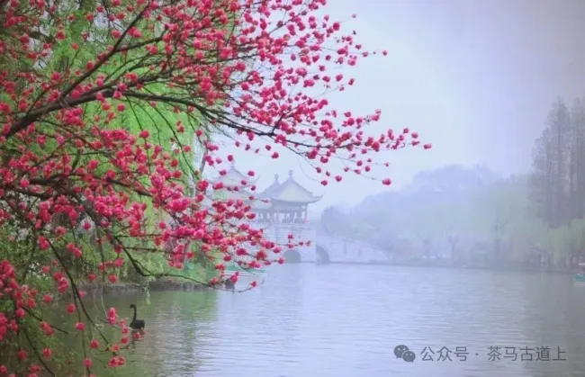 马悦英丨烟花三月下扬州，拾忆江南春日里的诗意时光