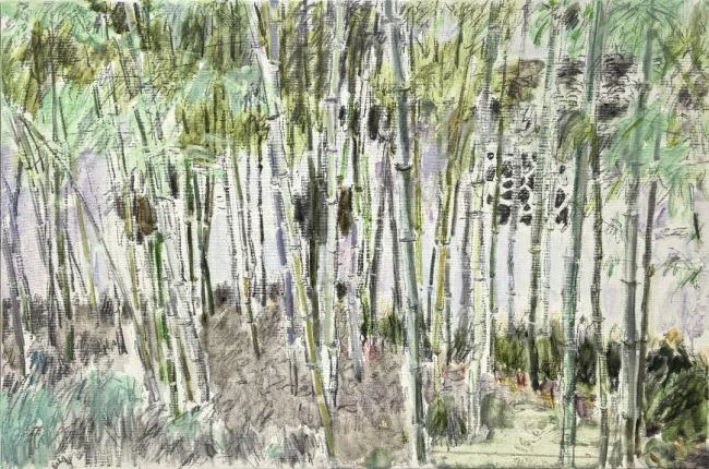 从寂静空园到烟火人间——张淳谈“我们走进文徵明的园子”展览背后的园林叙事创新与当代转译