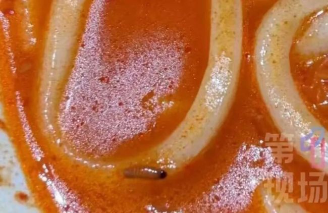 深圳福田一山姆会员店乌冬面现蛆虫引关注，门店初赔400元被指态度傲慢，后协商达成千元赔偿方案