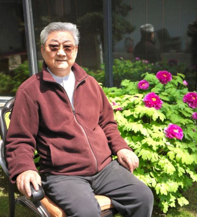 对话韩天衡丨八十载沐露岭南，技艺通刀石笔墨