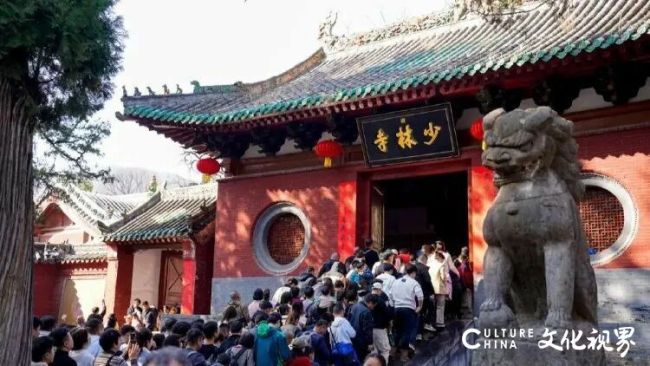 景区大门越修越远,摆渡车该如何平衡便民服务与经营收益?