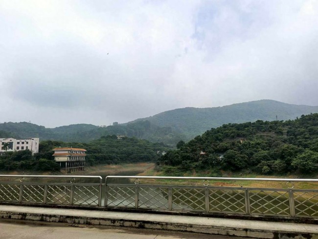 市场监管总局曝光五起招标投标领域典型案例:涉串标、行贿、虚假认证,为9.6万中小学生供餐的上海绿捷被吊销执照