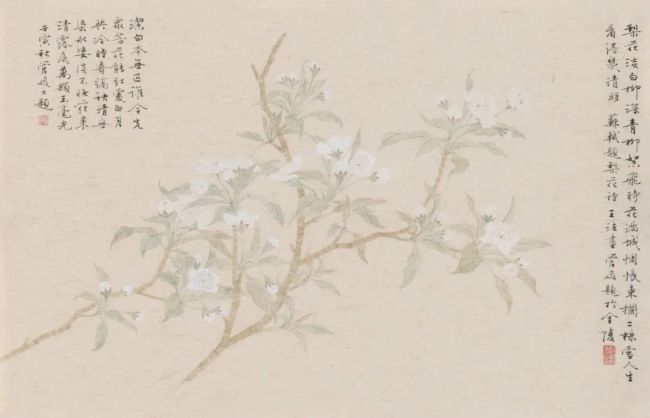 “本心·王法问花录” | 江宏伟:将一花一叶以文雅之姿徐徐展开,画面充盈着宁静与淡然