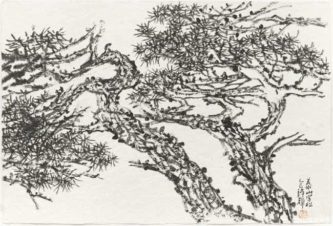 6 泰山松 32.5cm×48cm.jpg