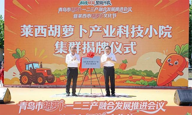 科技赋能聚链兴农：青岛莱西胡萝卜产业开启全链条融合发展新征程