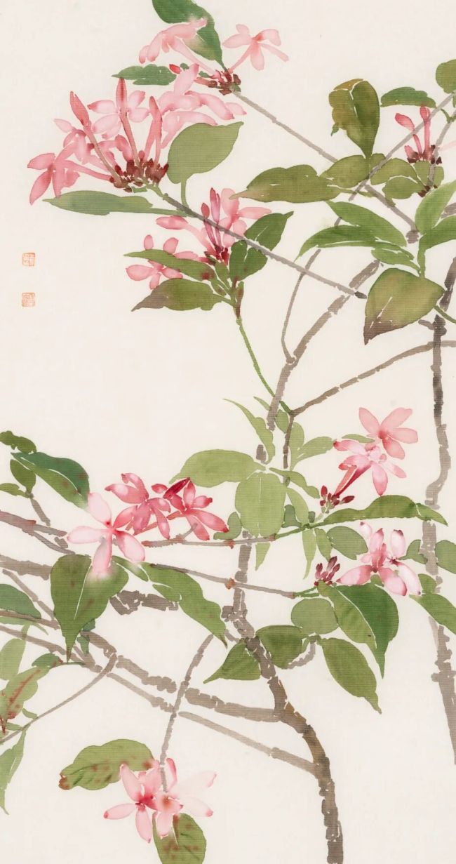 版纳写生之三·红花蕊木 50cmx32cm 2026年 绢本设色1.jpg