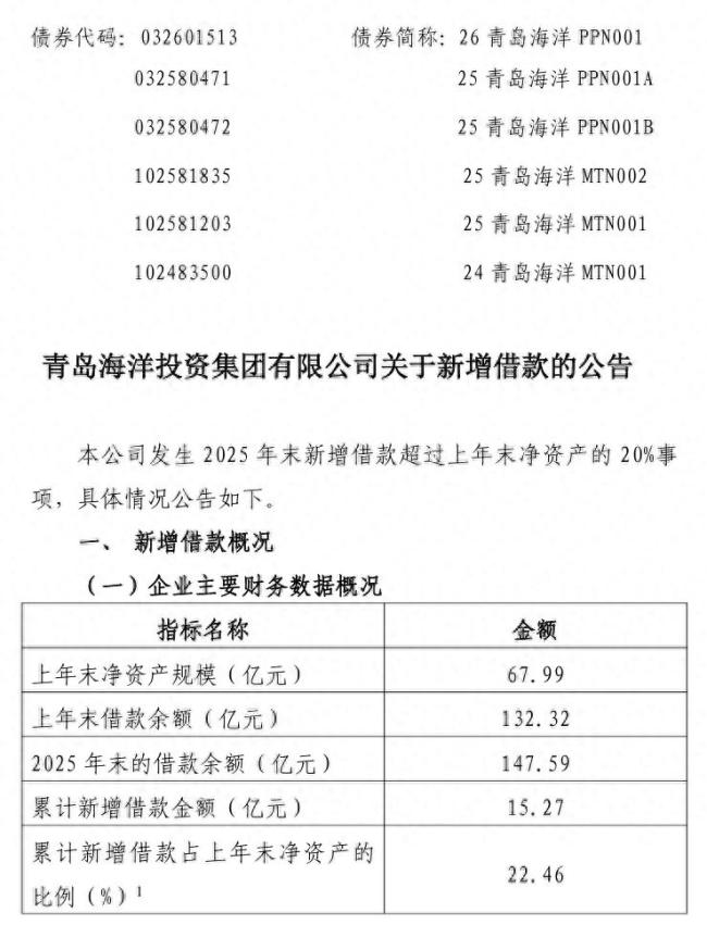 负债扩容盈利承压——青岛海投集团2025年新增借款15.27亿元，净利同比收窄