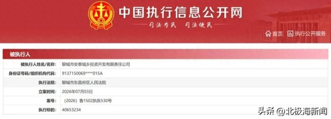 曾1天6次成被执行人！聊城市安泰城乡投资开发有限责任公司又被执行，执行标的超4065万元，上级公司票据持续逾期
