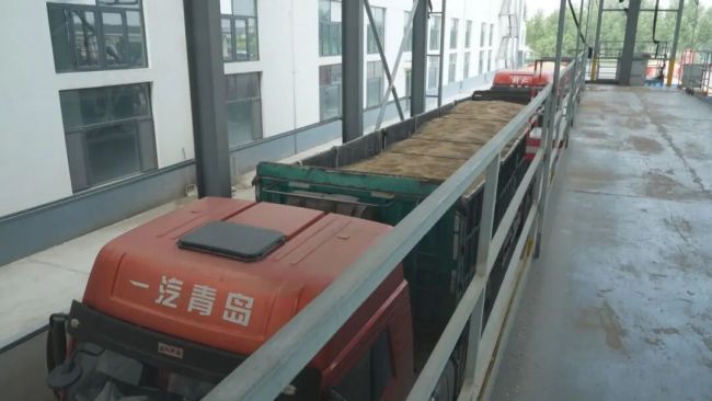 济南商河县进入夏粮收购旺季
