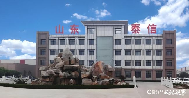 双重监管处分!ST泰信因826万资金占用+信披违规再遭监管纪律处分