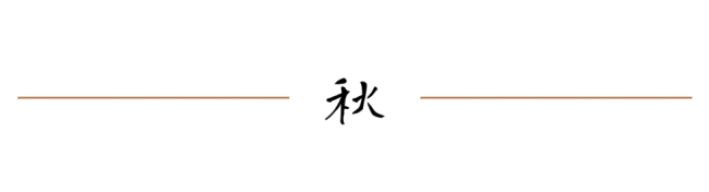 20260804104149202289.png image.png