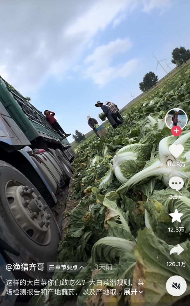 张家口“甲醛白菜事件”发酵：当地白菜斤价跌至1毛多，收购商不敢收，多地紧急排查封堵风险菜源