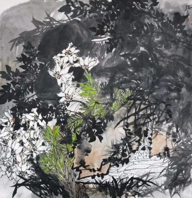 吉瑞森·花鸟 | 定格西双版纳雨林蓬勃旺盛的生命气象,还原热带丛林独有的雄浑生机
