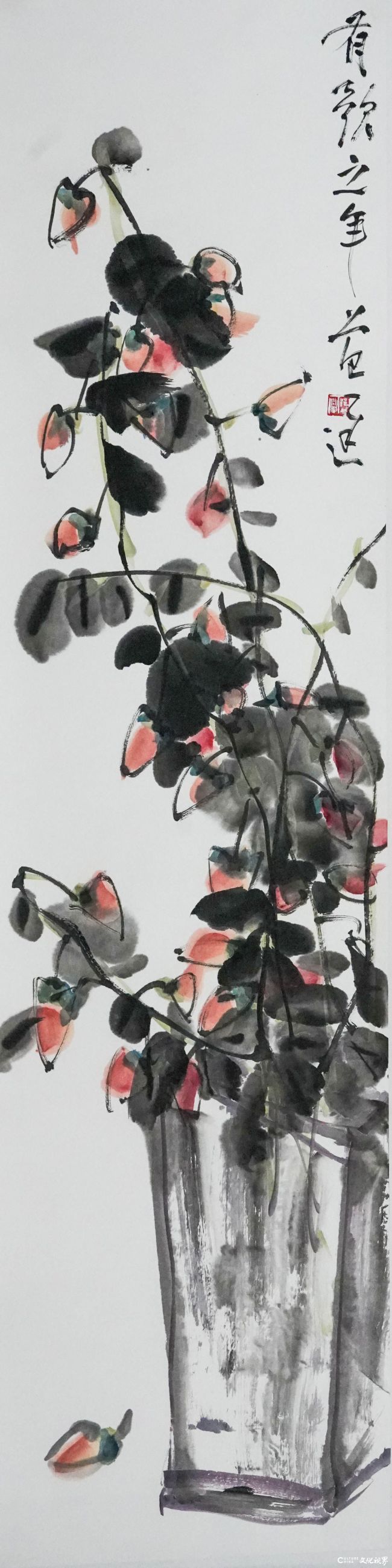 范存刚.JPG