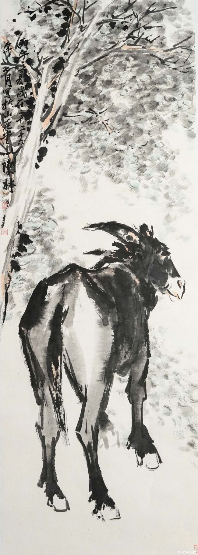 陈林.JPG